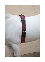 Hy Equestrian Training Roller Adjustable Webbing & Leather Lunge Roller Cob/Full