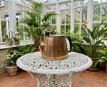 Antique Edwardian Solid Copper Water Jug Watering Can William by Bursham 1900s