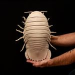 Giant Isopod Replica Bathynomus Deep Sea Oddity Model 42cm Painted Decor