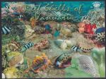 2005 - Vanuatu - Reef Shells - Self Adhesive Sheetlet of Stamps - Mint MUH