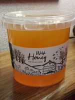 1.5kg  100% Welsh Wildflower Honey  (runny)  Harvest 2025