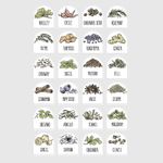 24 x 2 Herbs & Spices Jar Labels  Sticker Home Cooking Kitchen Pantry Storage