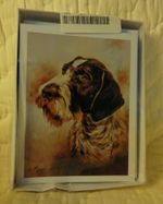 German Shorthaired Pointer Dog Note Cards W/Envelopes by Ruth Maystead