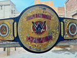 New Tag Team Wrestling Championship Title Replica Adult Size 2024 brass Belt 2mm