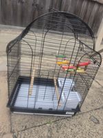 Classic Bird Cage with Accessory