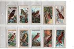 WILLS: British Birds 1915 Full Set 50 Cigarette Cards