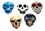 Skull Guitar Picks Plectrums Collection Gift Set OR Fridge Magnets 