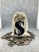 5lb Bag of Buffalo Nickels Unsearched! Estate Buy {STOCK PHOTO} over 450 coins!