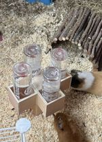 FOUR WAY FREE STANDING  GUINEA PIG BOTTLE HOLDER   (BOTTLES NOT INCLUDED)