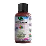 Antiseptic Disinfectant 10ml – First Aid for Wounds & Cuts, 10 ml (Pack of 1)