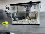Starter Aquarium