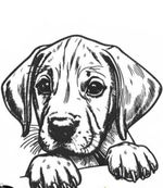 Rhodesian Ridgeback PUP DOG White Cotton Dish Tea Towel EMBROIDERED Personalized