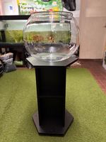 EXTRA LARGE GIANT ACRYLIC FISH BOWLS – NOW AVAILABLE! 37L/52L/88L