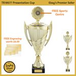 SPORTS CUP TROPHY - Gold Presentation Award with Lid, 2 Sizes, FREE ENGRAVING