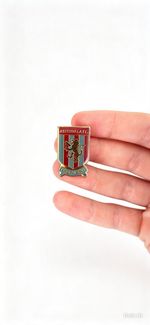 Aston Villa FC Crest Enamel Pin Badge with Pin Back - Football