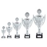 SILVER CUP AWARD Personalised Multi Purpose Trophy, TR9576 FREE DELIVERY 5 Sizes