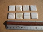 One Inch Square  Freshwater Mother of Pearl Flat Blank - Antique Box Repair