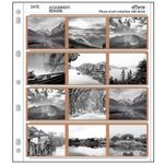 50x Acid-free Archival 120 Film Storage Sleeves Pages Slide Negative Protector