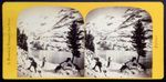 A. Braun, Oberland Bernois (4749), Switzerland, Albumen Print Stereograph