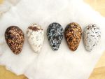 Replica Great Auk Eggs