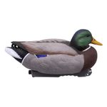 FA-252305-02 Final Approach Ornamental Duck Pair