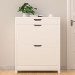 Heavy-Duty 2-Drawer Shoe Cabinet with Pull-Down Door Storage Organizer White
