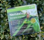 Slug Nematodes Nemaslug 2.0  12Million (Treats 40Sq.M)