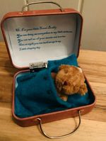 Worry Bear Friends In Travel Suitcase