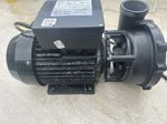 Waterway Executive 56F Spa Pump - 2HP - 2 Speed