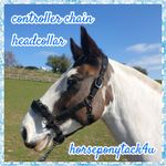 STRONG PADDED CONTROLLER HALTER HEADCOLLAR WITH CHAIN pony to extra full