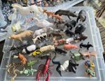 40 Schleich Papo Mojo animals horse baya dragon wolf monkey snake dog sandplay