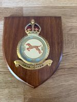 49 Squadron Royal Air Force mess wall plaque shield crest RAF with King's crown
