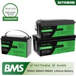 12V 100Ah 200Ah 300Ah Lithium Iron LiFePO4 Battery Rechargeable BMS Camping  RV