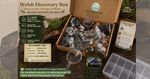 Welsh Geology Discovery Box | Rocks Fossils Minerals Gift Set | Hand Collected