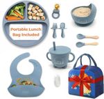 9 Pcs Silicone Baby Weaning Set with Portable Lunch Bag – BPA-Free bib catcher