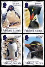 Falkland Islands 2026 Birds Penguins