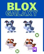 Homepass 2025 Update - Siamese Cat - Mini Schnauzer  - Adopt your pets