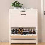 Heavy-Duty White 2-Drawer Shoe Cabinet with Pull-Down Door Storage Organizer UK