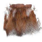 Dried Preserved Palm Tree Hair Fluff - Natural Raffia Bark Trunk Palm Fiber