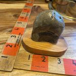 Fossil In Stone On Plinth 2ins. Great Condition