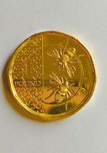 2025 King Charles III Bees £1 Coin – 24K Gold Plated – EXTREMELY RARE