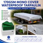 Waterproof Tarpaulin 170gsm Heavy Duty Tarp Cover Clear Green All Sizes