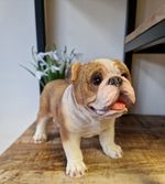 British Bulldog Ornament, Dog Sculpture Figurine, Fawn & White English