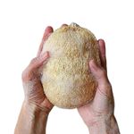 Natural Loofah Sponge Body Scrubber 2 Pack Exfoliating Shower Bath Sponges