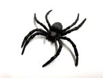 1x Fake Toy Spider (8cm) ~ Classic Practical Joke Prank ~ Halloween Prop