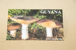 Vintage Guyana Mushroom Stamps - Russula Integra and Others