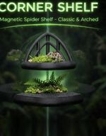 Jumping Spider Shelf | Spider Web Ledge for Jumping Spider Enclosure