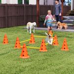 Dog Agility Set, Four-Piece Pet Jump Training Equipment Kit, Orange