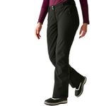 Dare2b Womens Effused II Ski Pants Regular