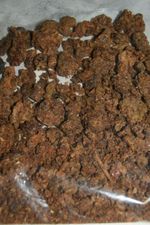 Raw bee PROPOLIS Natural Untreated  Organic Pure harvested in 2025 25g 50g 100g